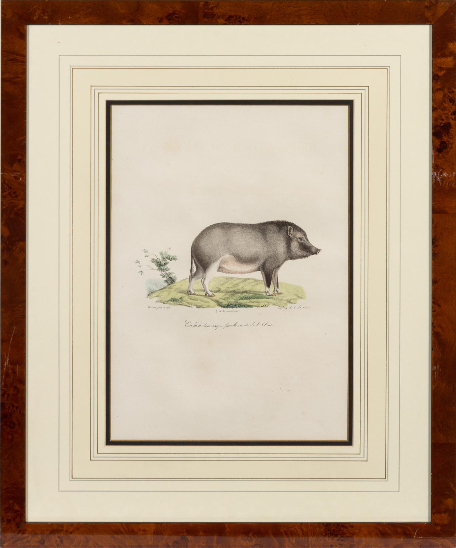 A Set of Six Animalier Prints 15 3/4 x 10 3/4 inches. — 19TH CENTURY
