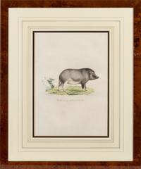 A Set of Six Animalier Prints 15 3/4 x 10 3/4 inches. — 19TH CENTURY
