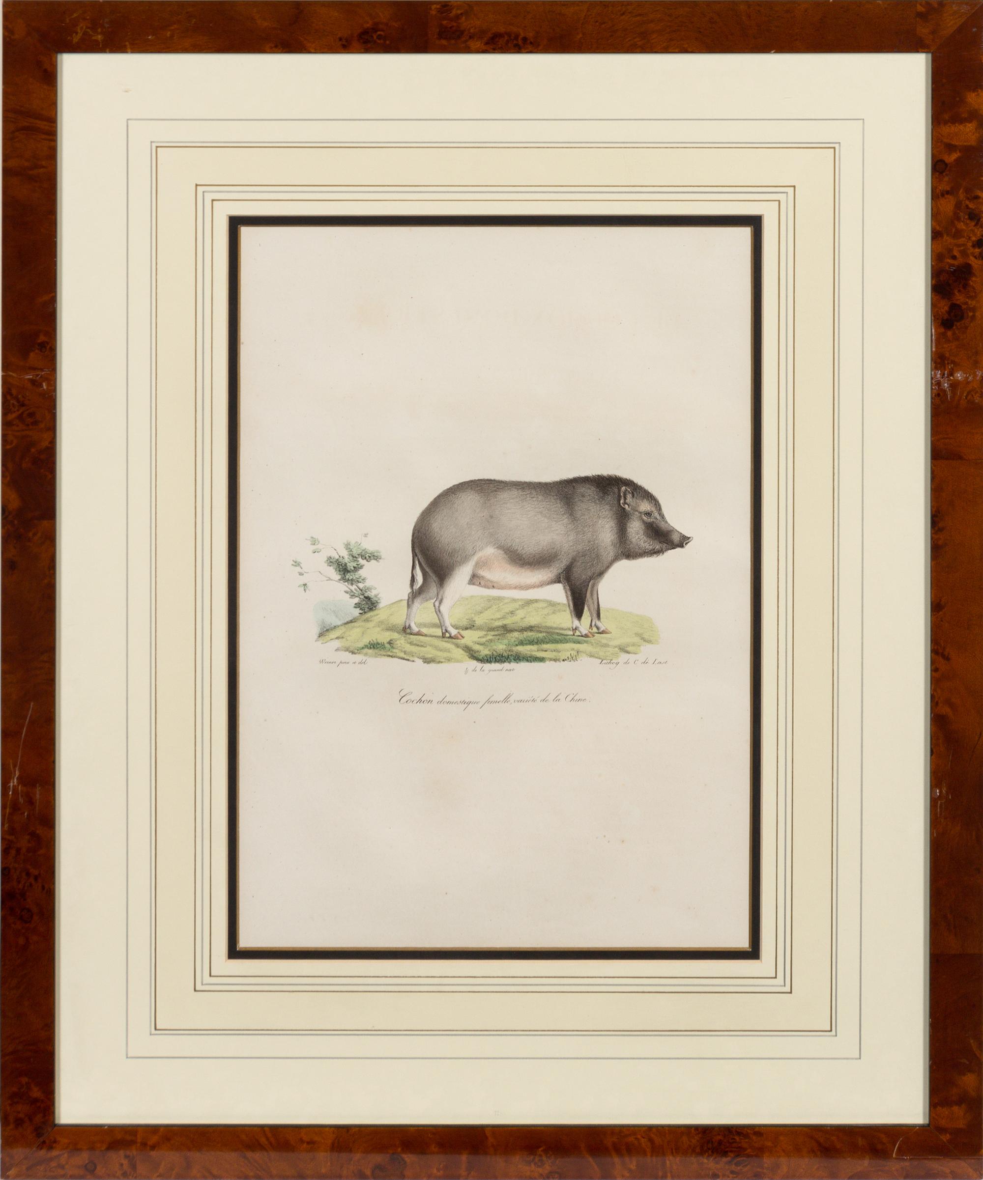 A Set of Six Animalier Prints 15 3/4 x 10 3/4 inches. — 19TH CENTURY