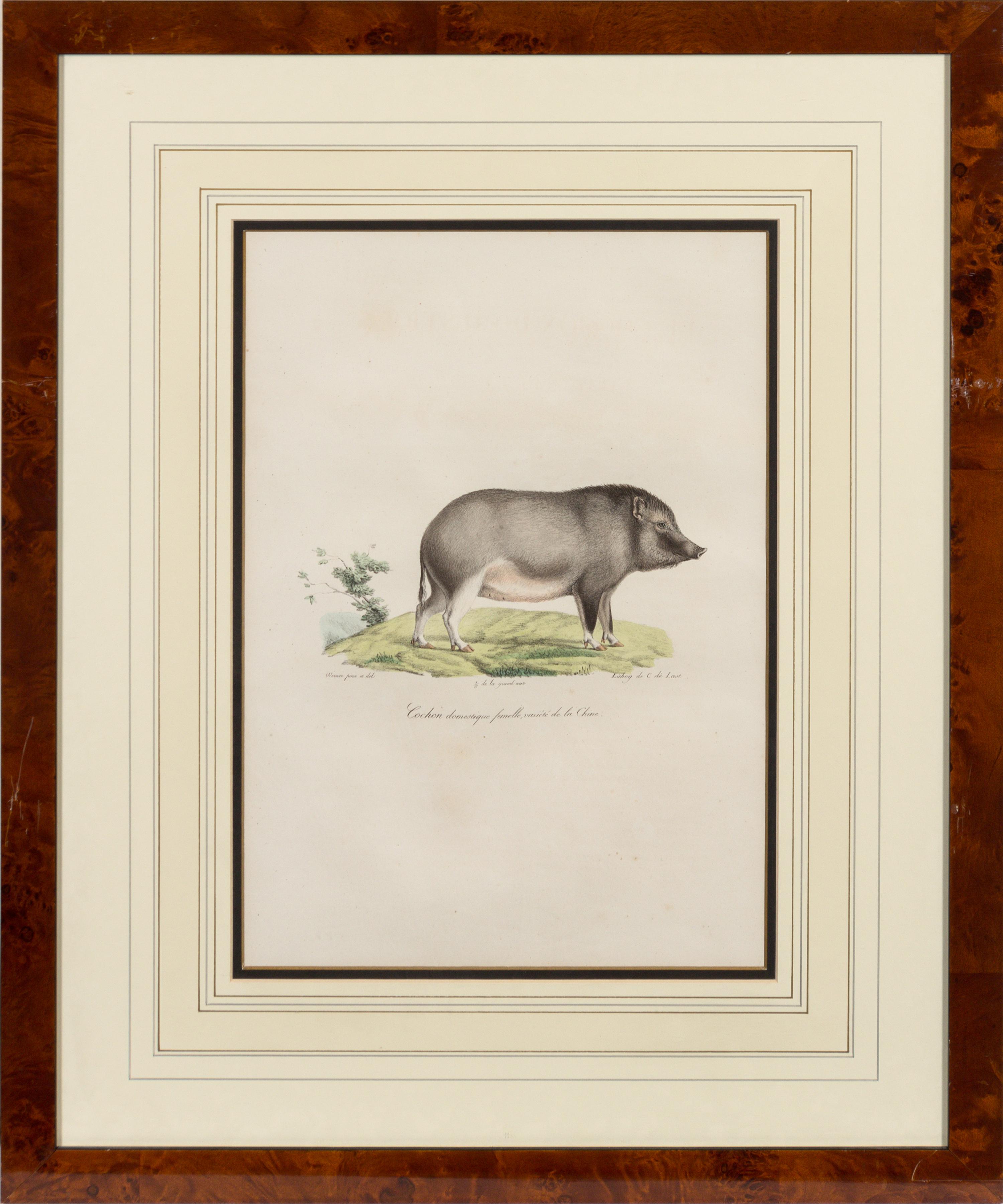 A Set of Six Animalier Prints 15 3/4 x 10 3/4 inches. — 19TH CENTURY