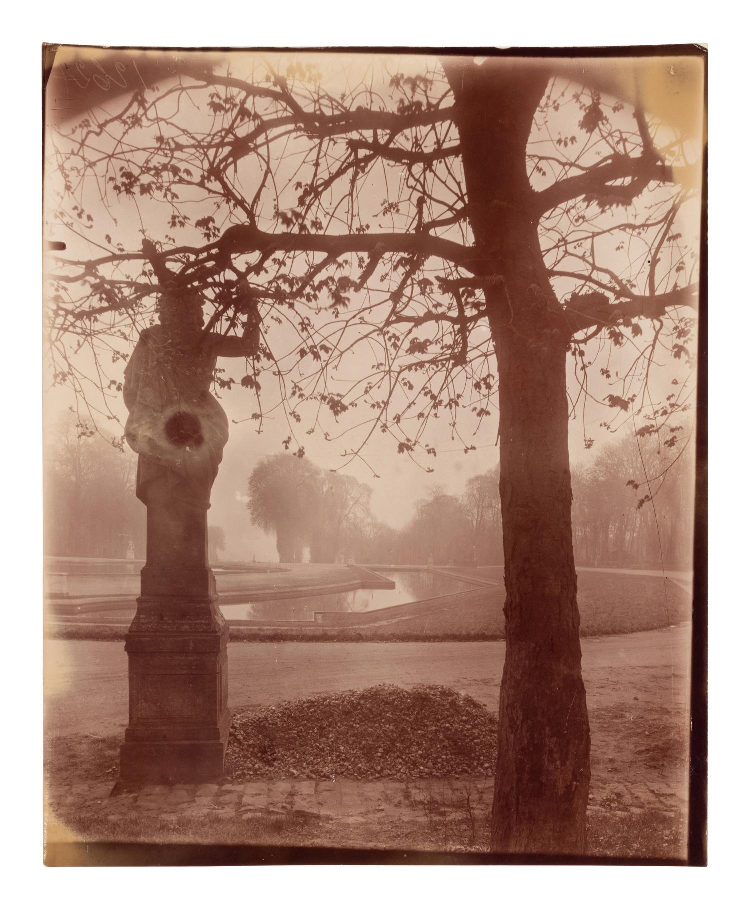 A pair of photographs depicting trees, Saint-Cloud ( Saint-Cloud [chene], 1921; Saint-Cloud [19h matin, mars 1926] , 1926)