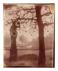 A pair of photographs depicting trees, Saint-Cloud ( Saint-Cloud [chene], 1921; Saint-Cloud [19h matin, mars 1926] , 1926)