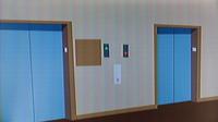 Elevators