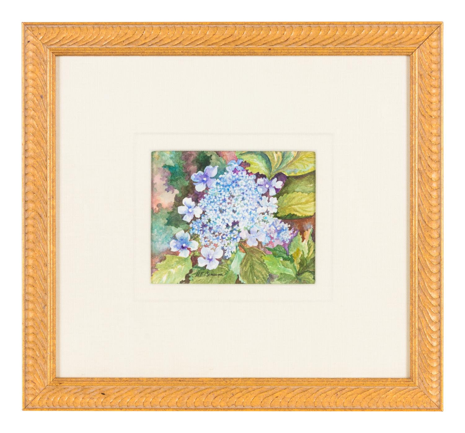 Hydrangeas