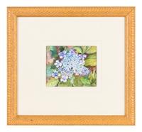 Hydrangeas
