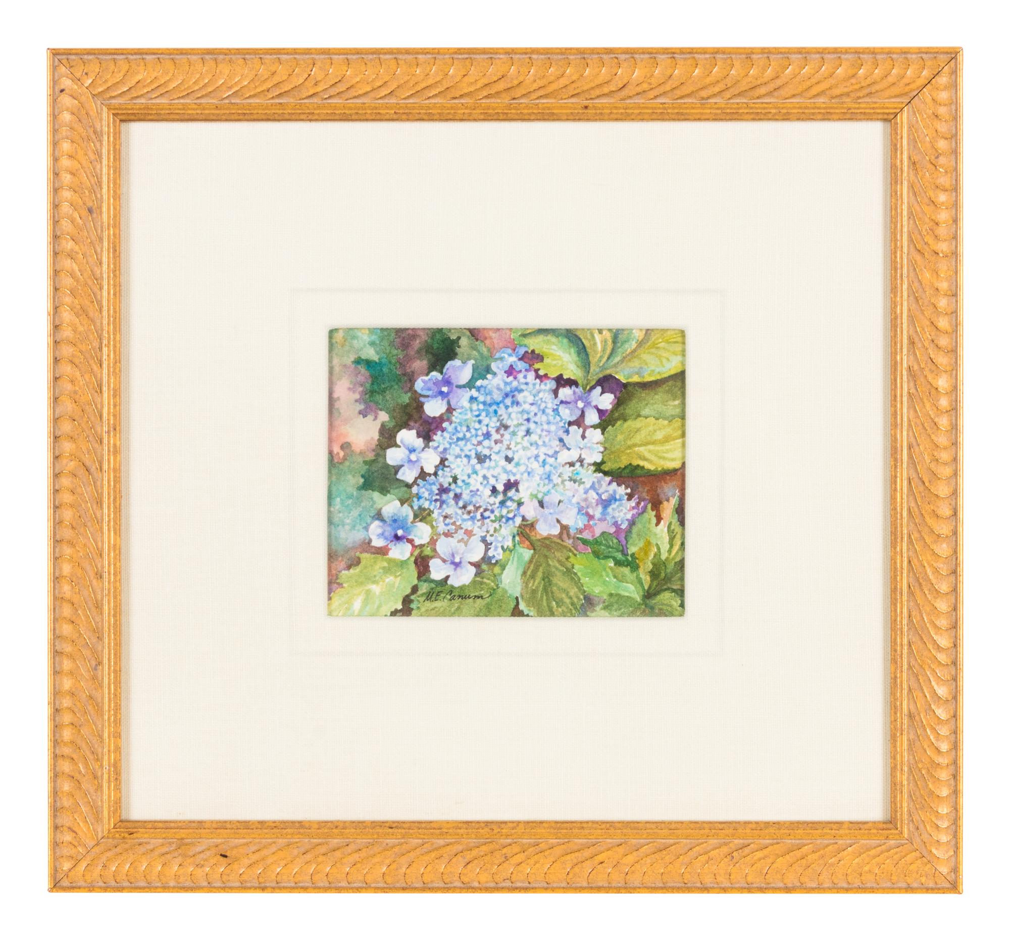 Hydrangeas
