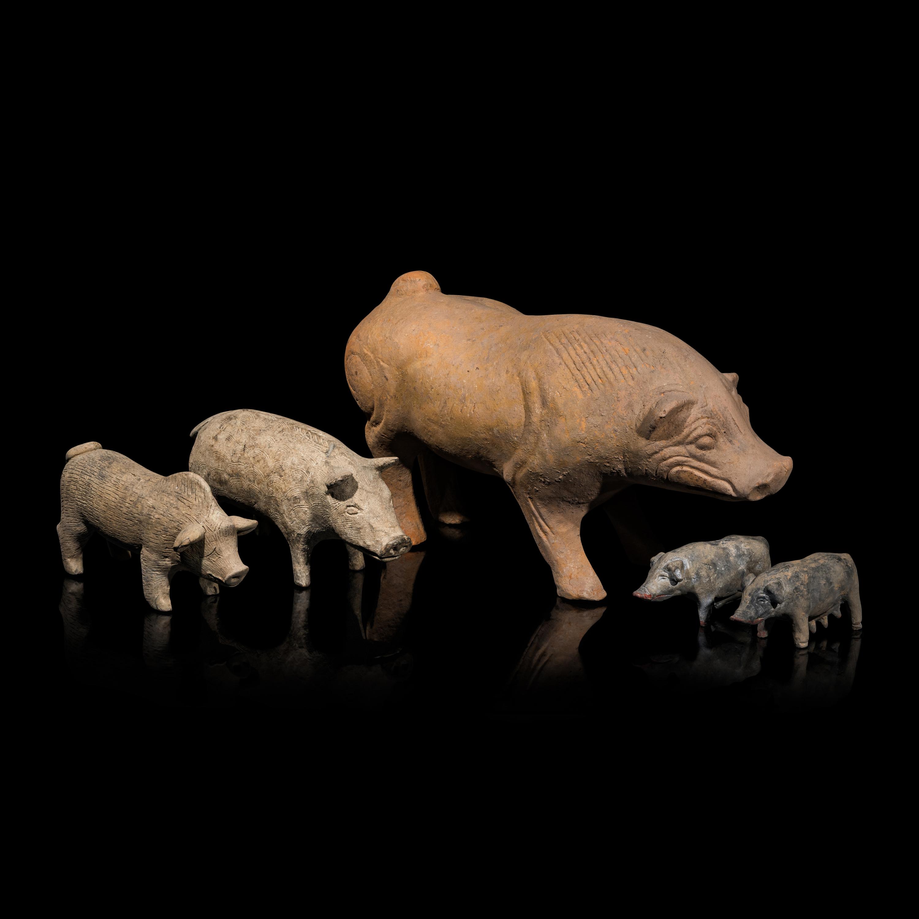 Five Chinese Pottery Figures of Pigs, Han Dynasty — 漢 陶豬五隻
