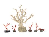 Six Chinese Coral Branches