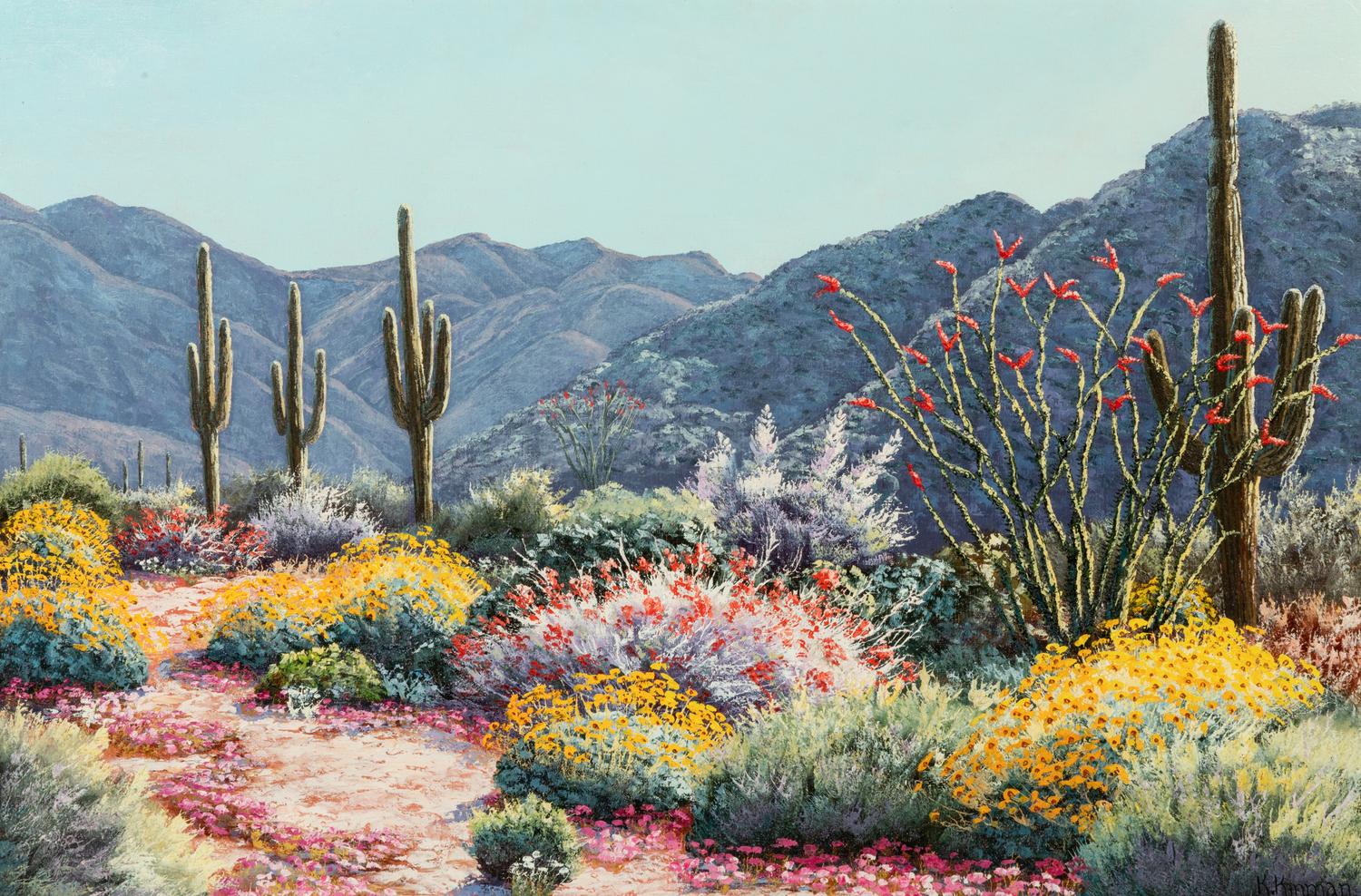 Desert Landscape