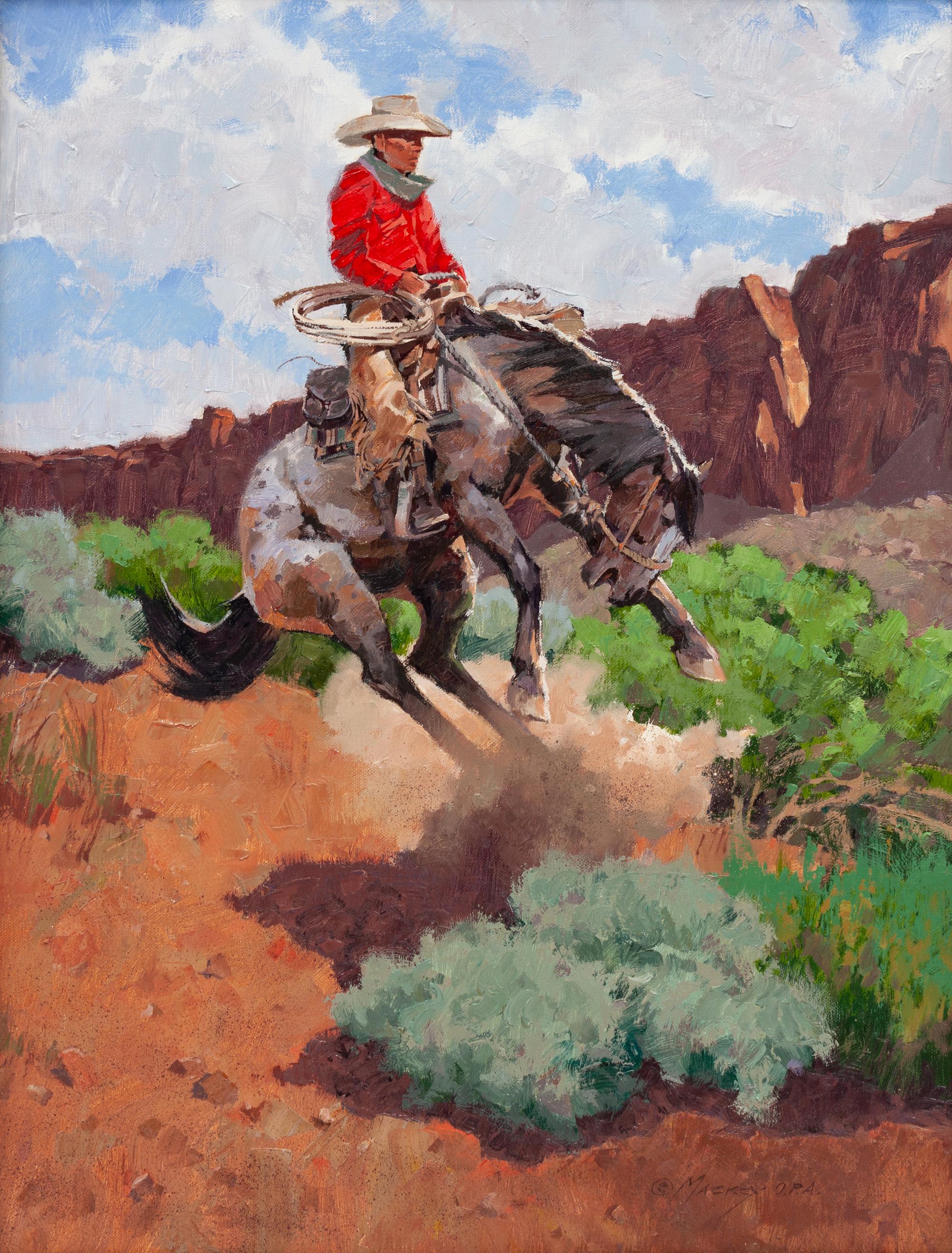 Canyon Chaos