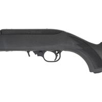 *Ruger 10/22