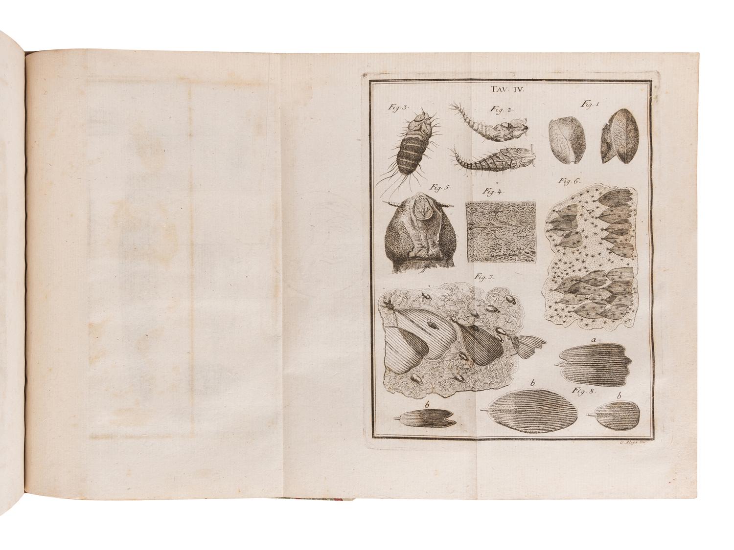 TORRE, Giovanni Maria della (1713-1782). Nuove Osservazioni Microscopiche . Naples: n.p., 1776.