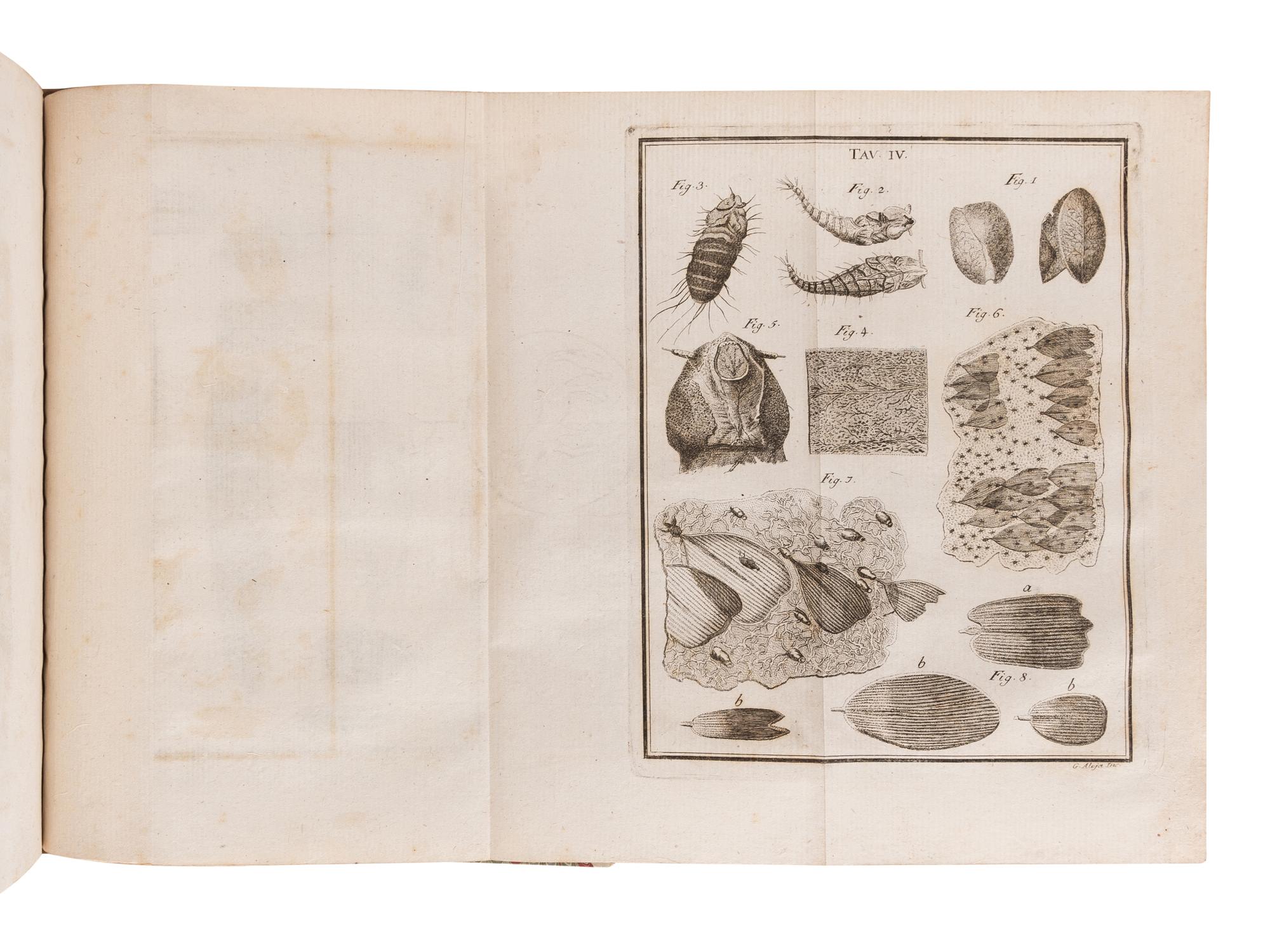 TORRE, Giovanni Maria della (1713-1782). Nuove Osservazioni Microscopiche . Naples: n.p., 1776.