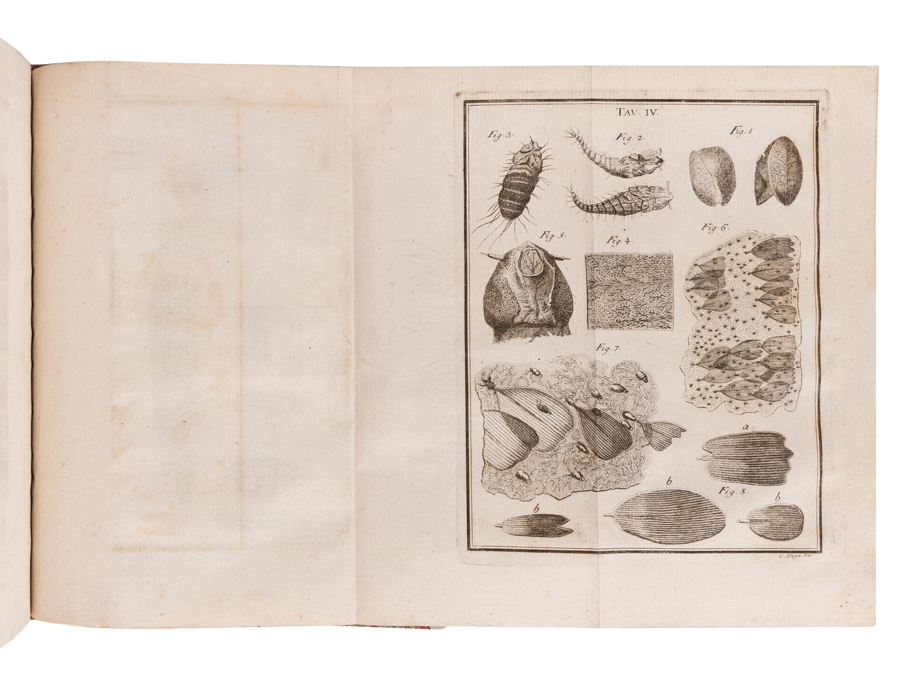 TORRE, Giovanni Maria della (1713-1782). Nuove Osservazioni Microscopiche . Naples: n.p., 1776.