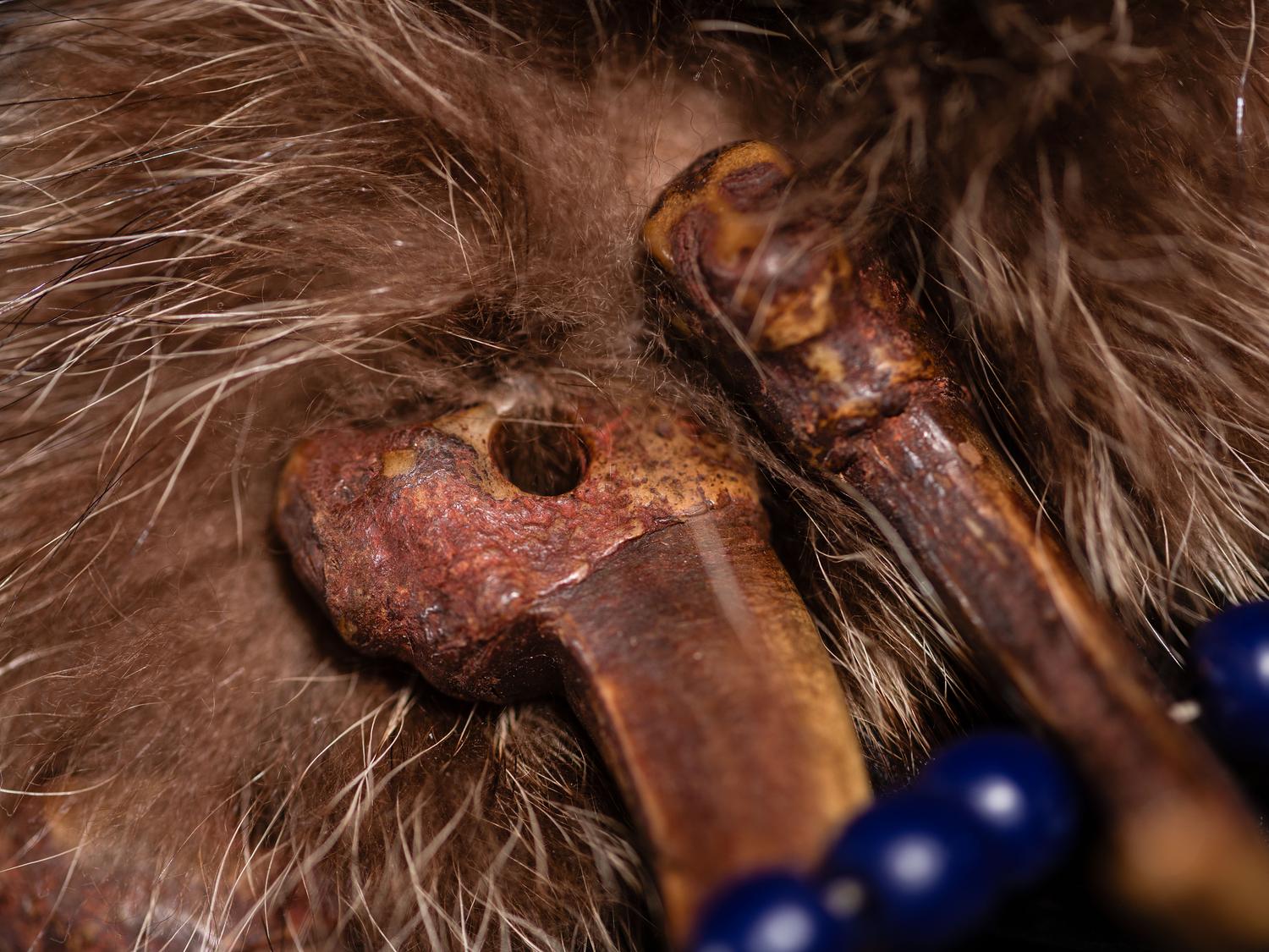 Northern Plains Bear Claw Necklace