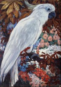 Cockatoo (Lotta)