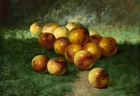 Untitled (Still Life with Apples)