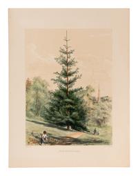 [RAVENSCROFT, Edward James (1816-1890)]. The Pinetum Britannicum. A Descriptive Account of Hardy Coniferous Trees cultivated in Great Britain . Edinburgh and London: Private Press of Peter Lawson & Son, [1863]-1884.