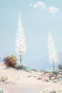 California Landscape
