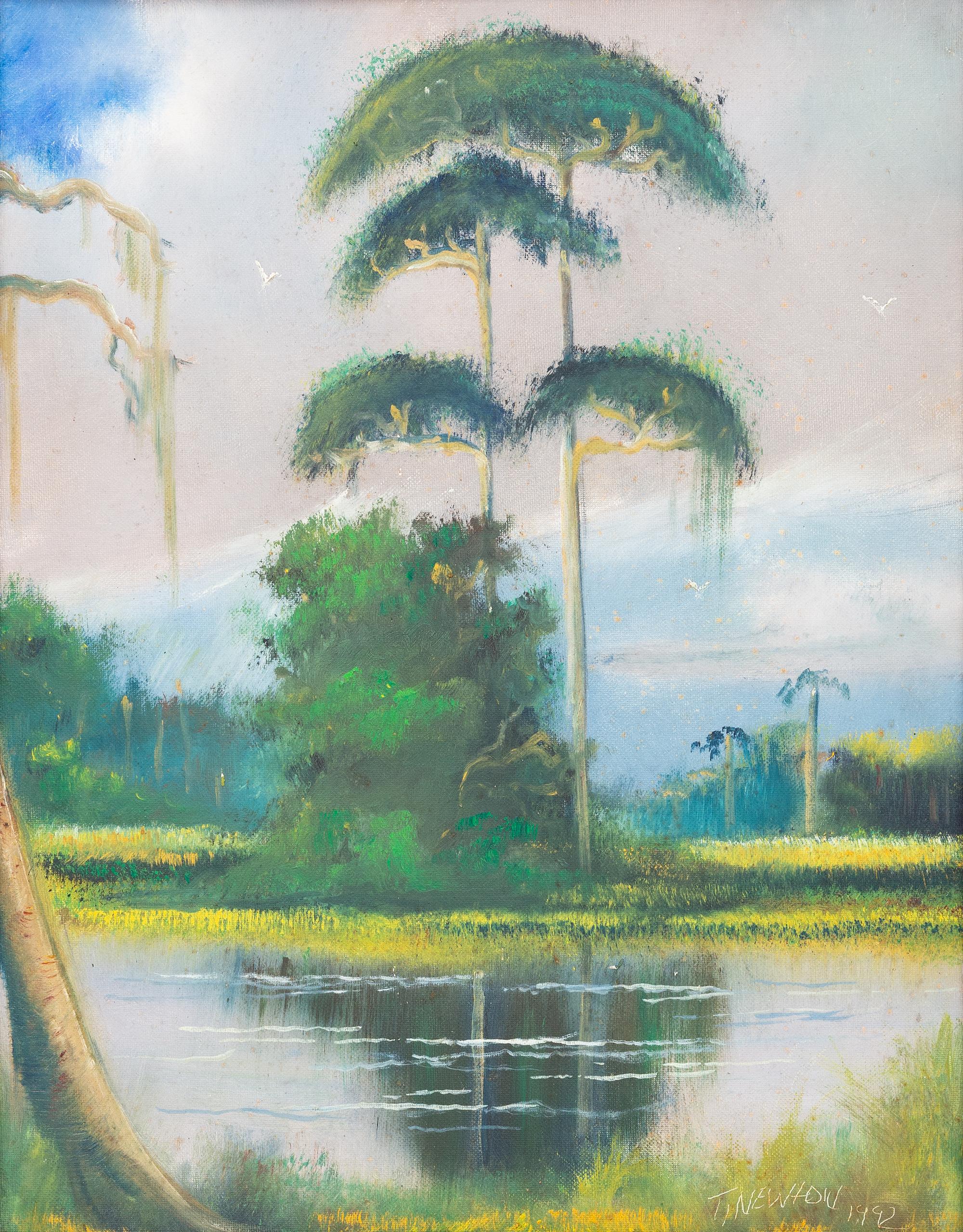 Florida Marshland, 1992