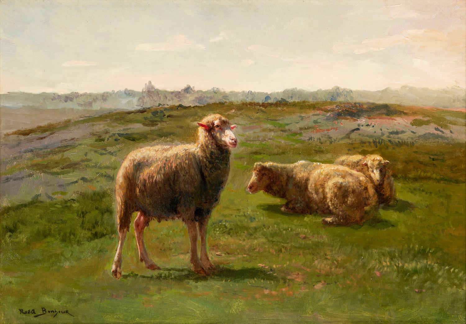 Sheep in a Meadow (Moutons dans un pré)