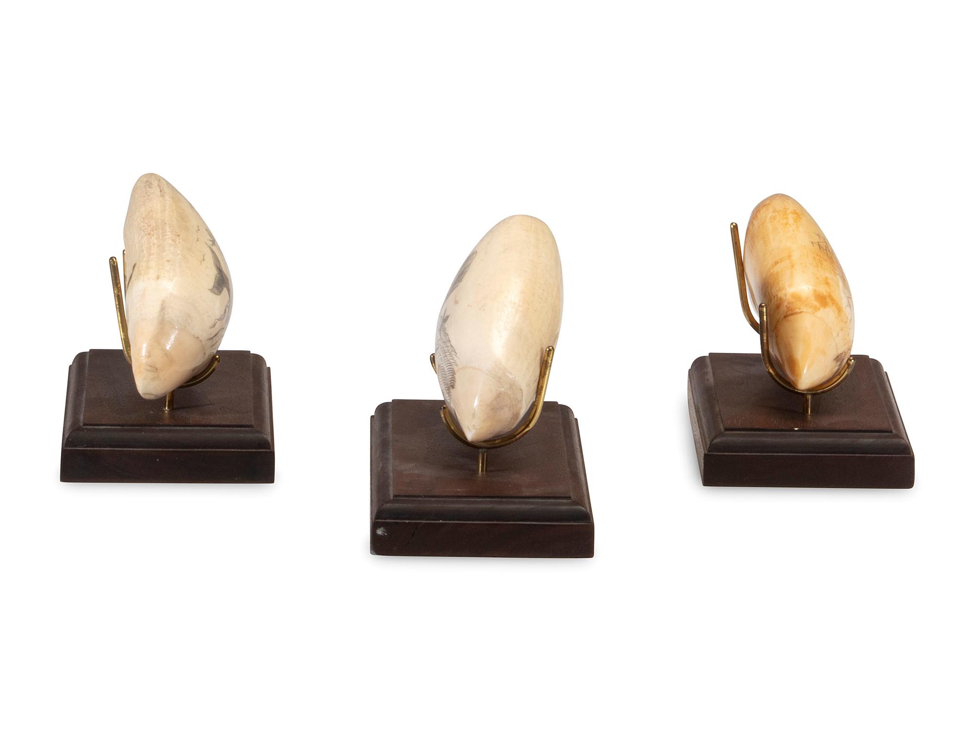 Three Scrimshaw Whale's Teeth