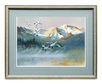 Trumpeter Swans , 2005