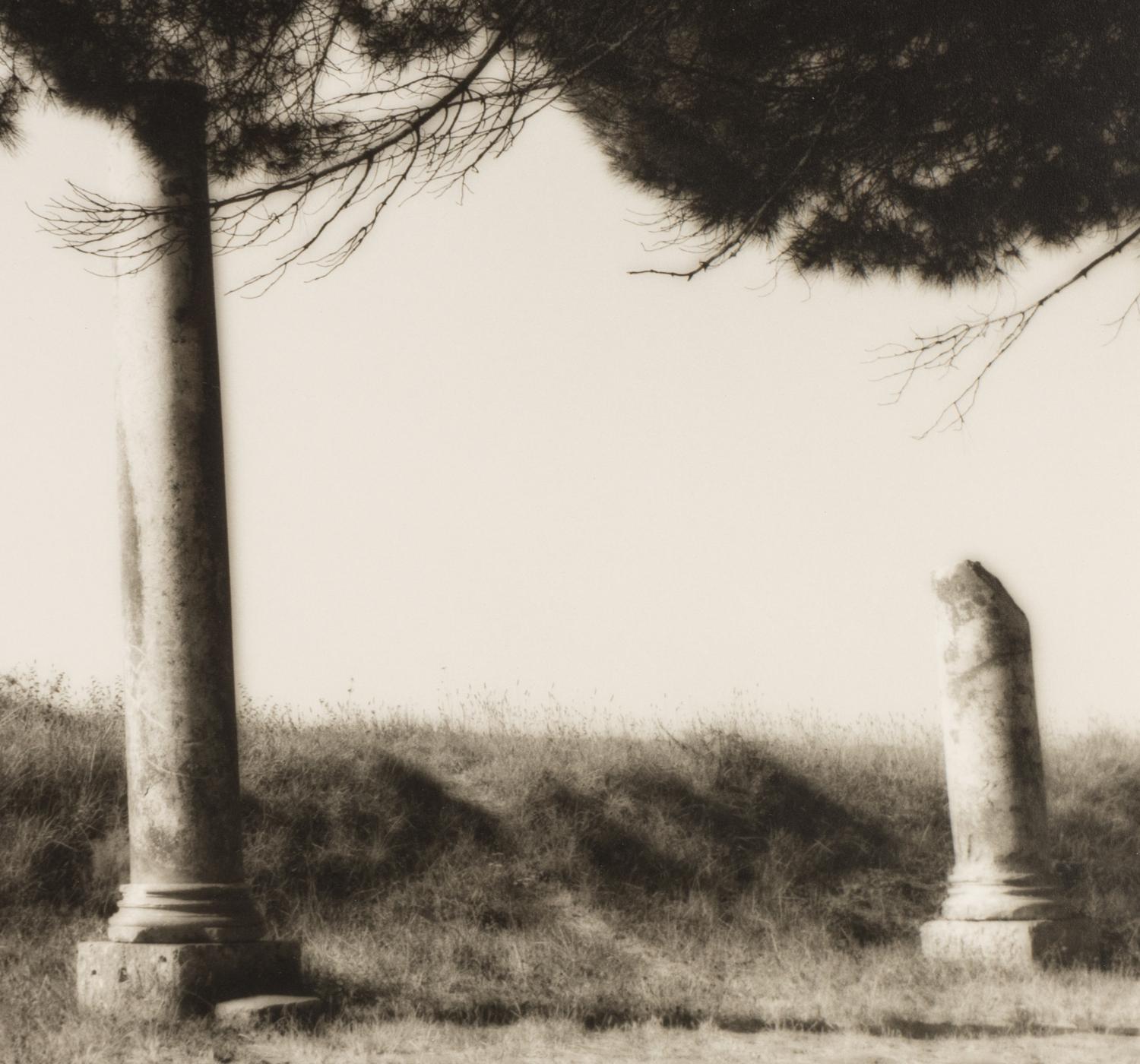 Topiaries and Planter, Knightshayes Court, Devon, England , 1991; Tree and Column, Ostia Antiqua, Italy , 1990; and Tree and Hedge, Villa Gamberaia, Settignano, Italy , 1990 (Three Works)