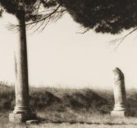 Topiaries and Planter, Knightshayes Court, Devon, England , 1991; Tree and Column, Ostia Antiqua, Italy , 1990; and Tree and Hedge, Villa Gamberaia, Settignano, Italy , 1990 (Three Works)