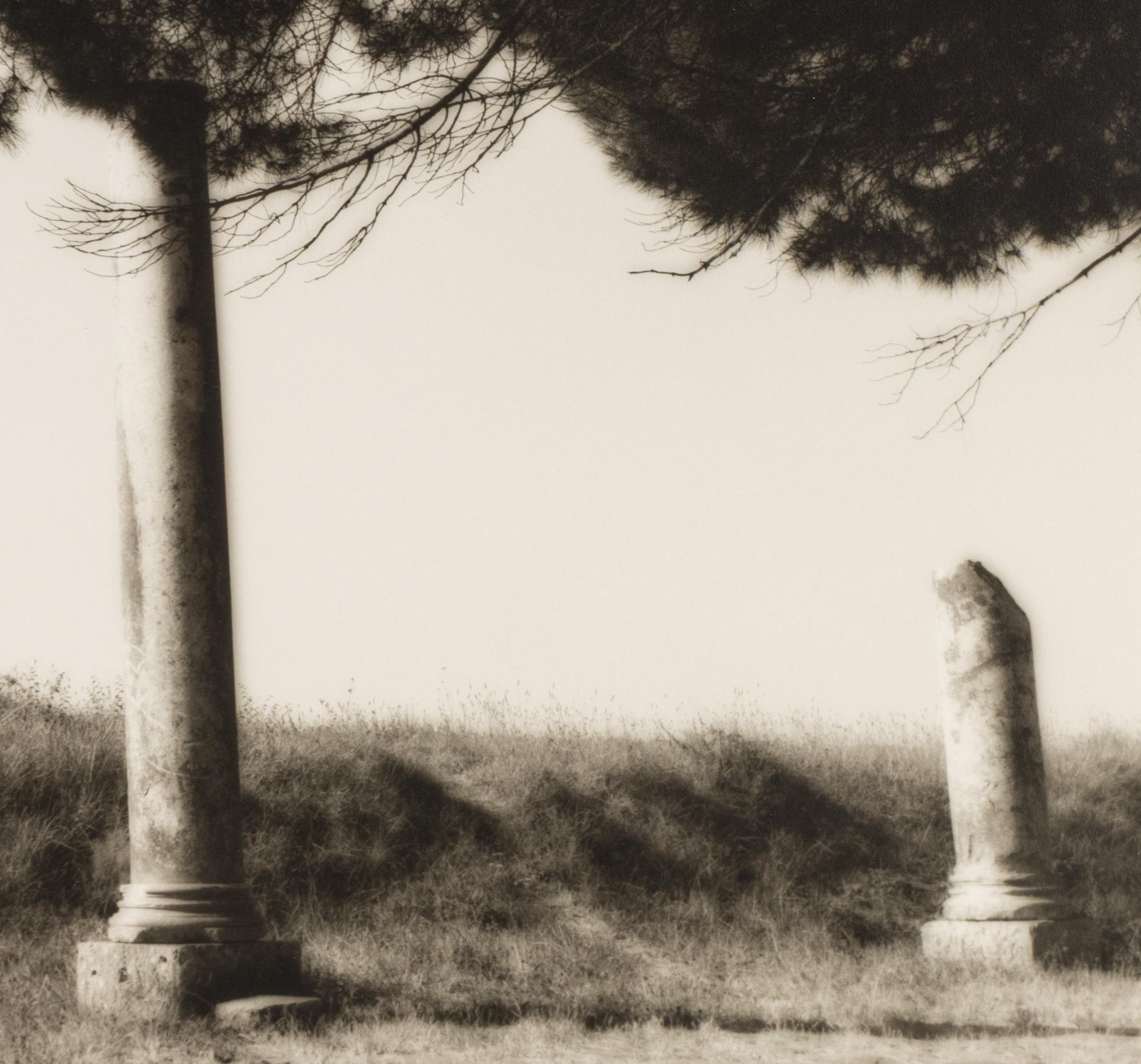 Topiaries and Planter, Knightshayes Court, Devon, England , 1991; Tree and Column, Ostia Antiqua, Italy , 1990; and Tree and Hedge, Villa Gamberaia, Settignano, Italy , 1990 (Three Works)