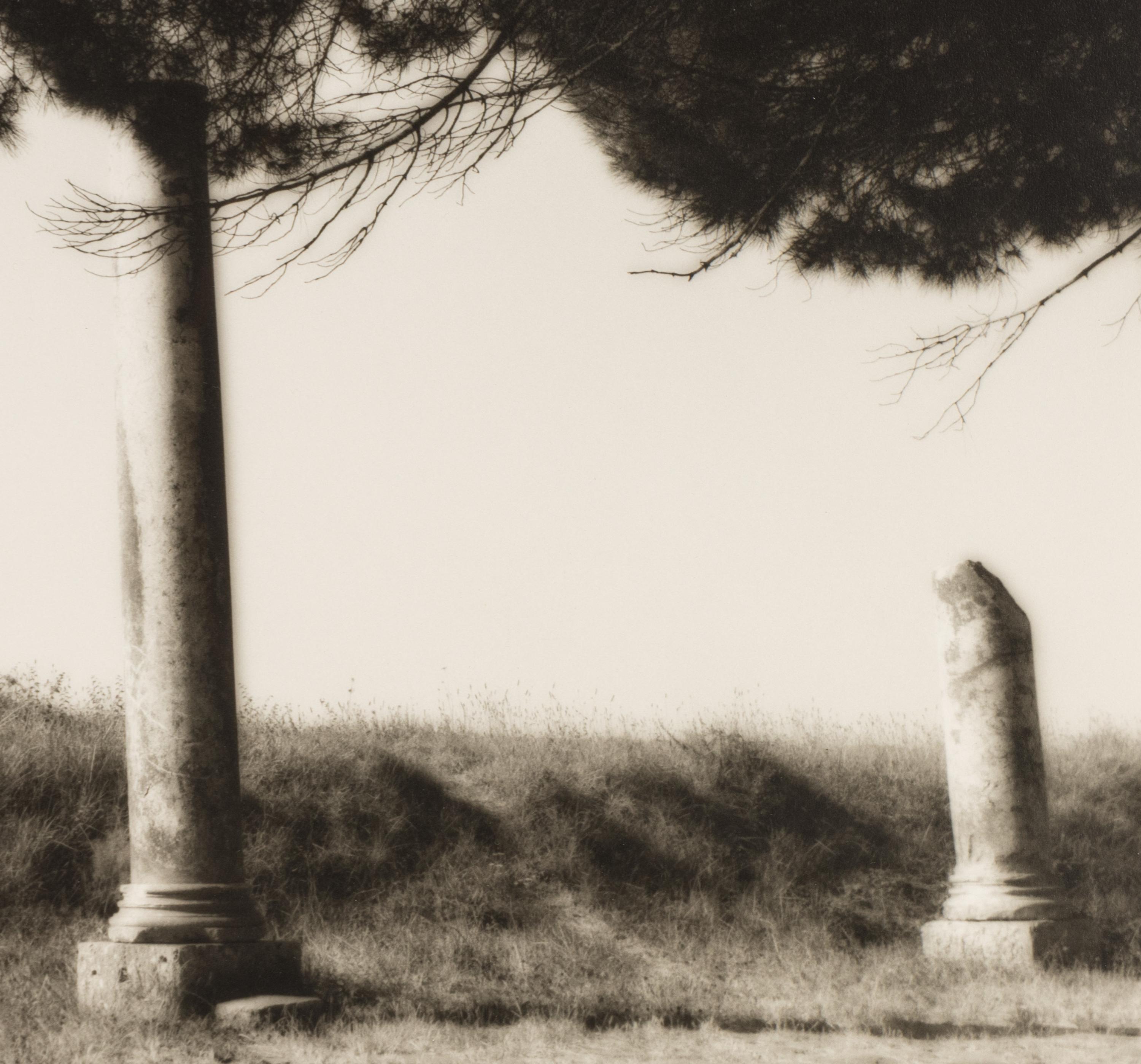 Topiaries and Planter, Knightshayes Court, Devon, England , 1991; Tree and Column, Ostia Antiqua, Italy , 1990; and Tree and Hedge, Villa Gamberaia, Settignano, Italy , 1990 (Three Works)