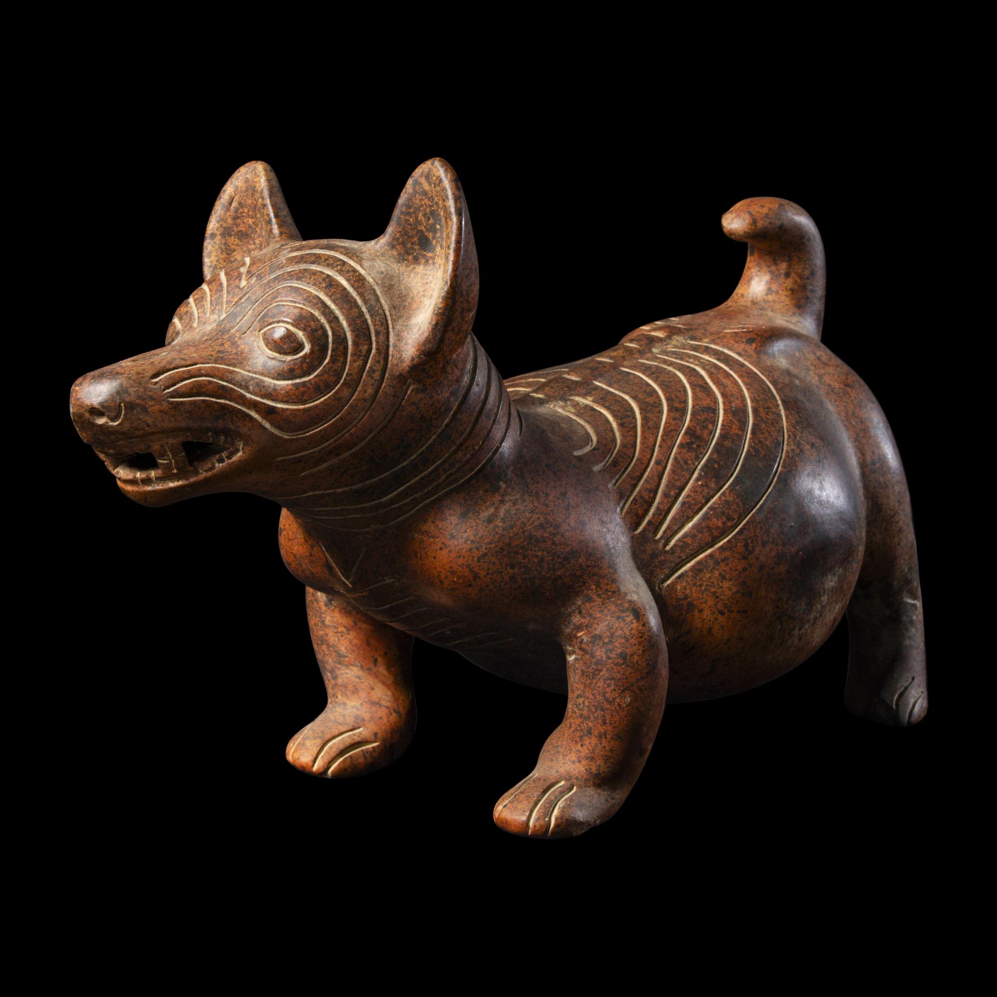 A Colima Red-Ware Dog