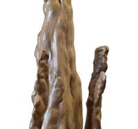 A Modern Cypress Burl Table Lamp 13.25" W x 8" D x 41.5" H — United States, Mid-20th Century