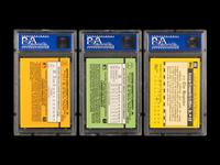 A Group of 12 Ken Griffey Jr. PSA Graded Rookie Cards,