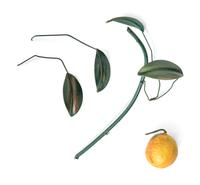 A Pair of Tole Peinte Models of Lemon Trees