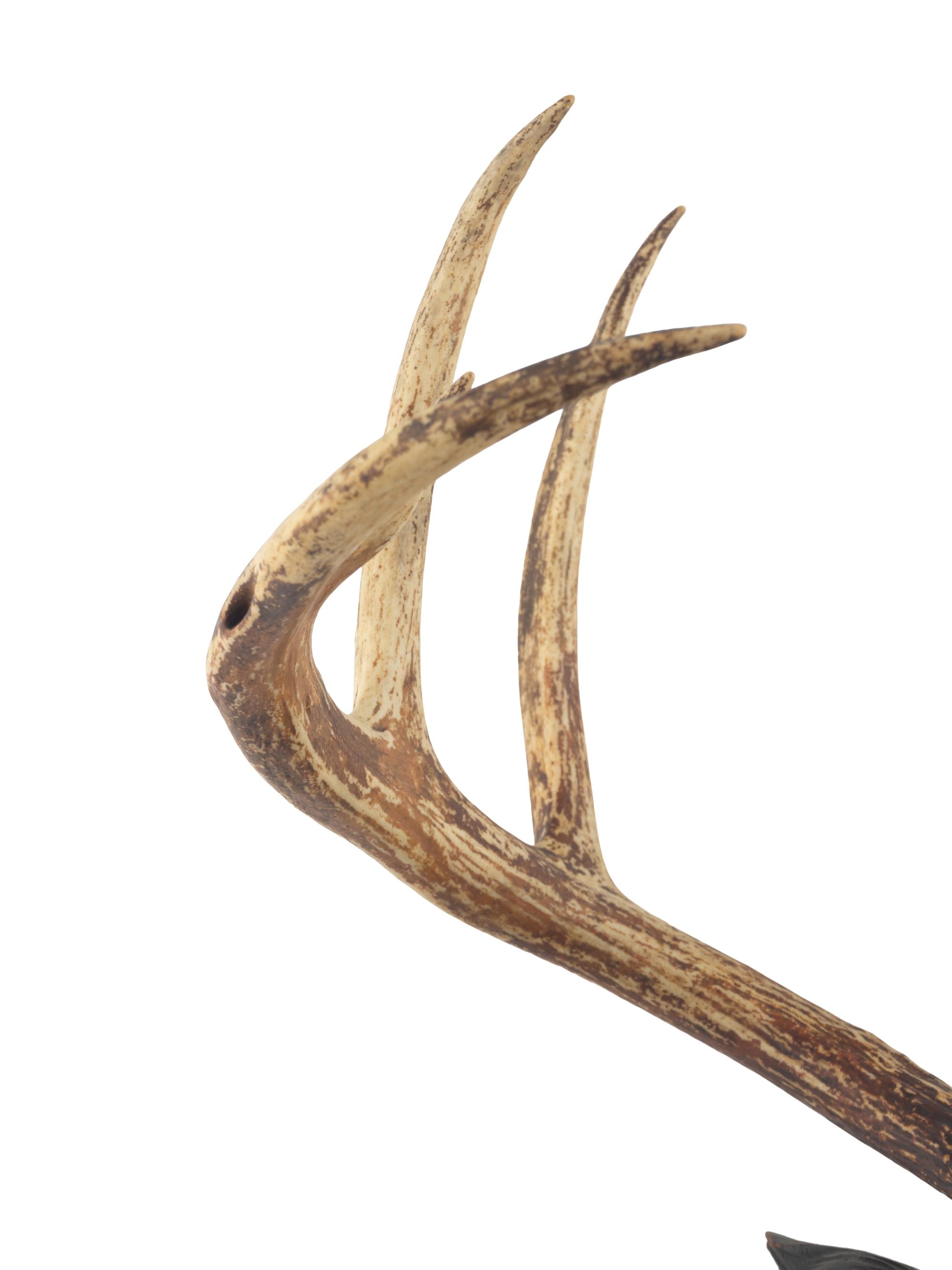 A Black Forest Carved Oak Stag Wall Mount