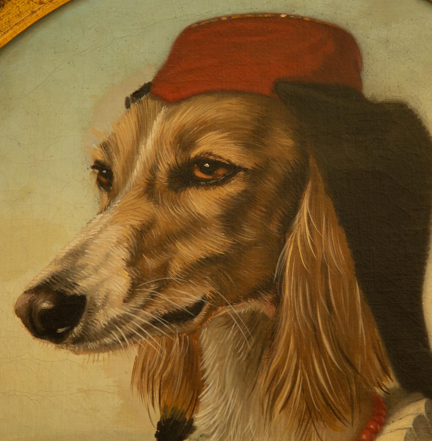 A Renaissance Setter