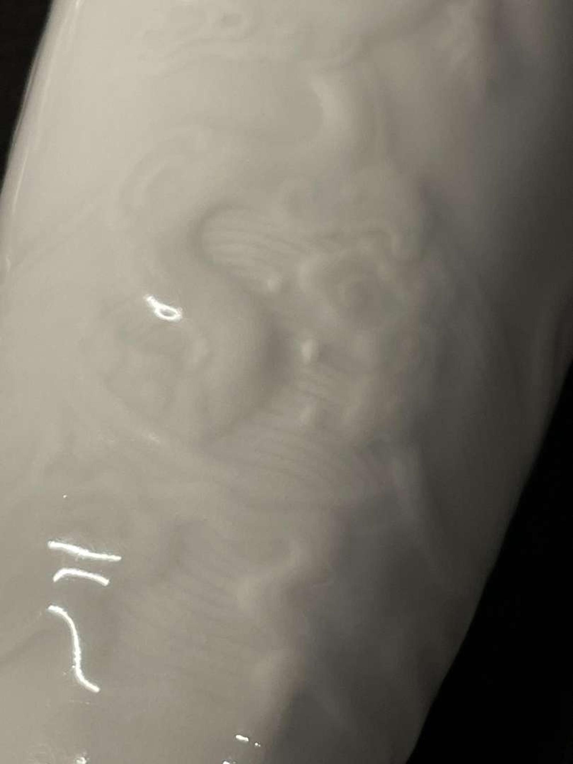 A Chinese amphora-shaped "Dragon" vase 龙纹双耳瓶 Kangxi mark, but later ??? ????