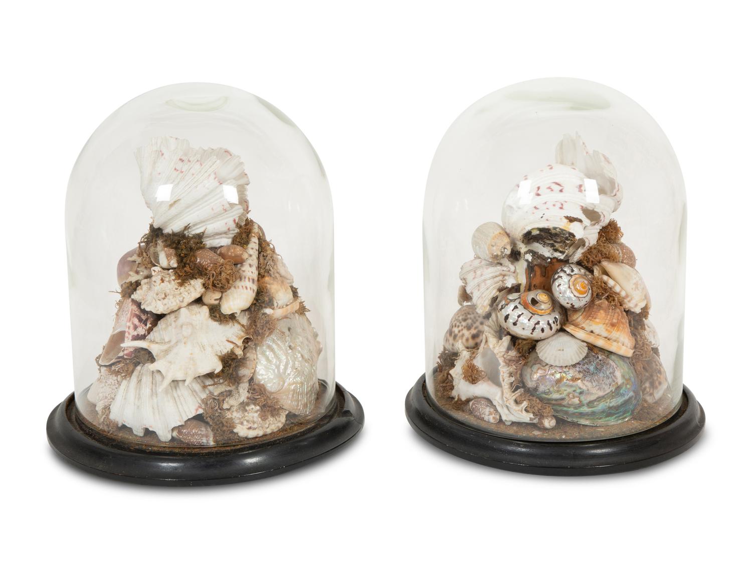 A Pair of Shell Dioramas with Glass Dust Domes