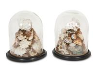 A Pair of Shell Dioramas with Glass Dust Domes