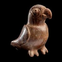A Moche Terracotta Parrot Whistle