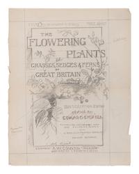 [NATURAL HISTORY]. KIRBY, William Forsell (1844-1912), et al. Lloyd’s Natural History... London: Edward Lloyd, 1896-97.