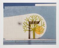 Two Javan Bayer Photographs, 1980 Each: 15 3/4 x 21 inches.