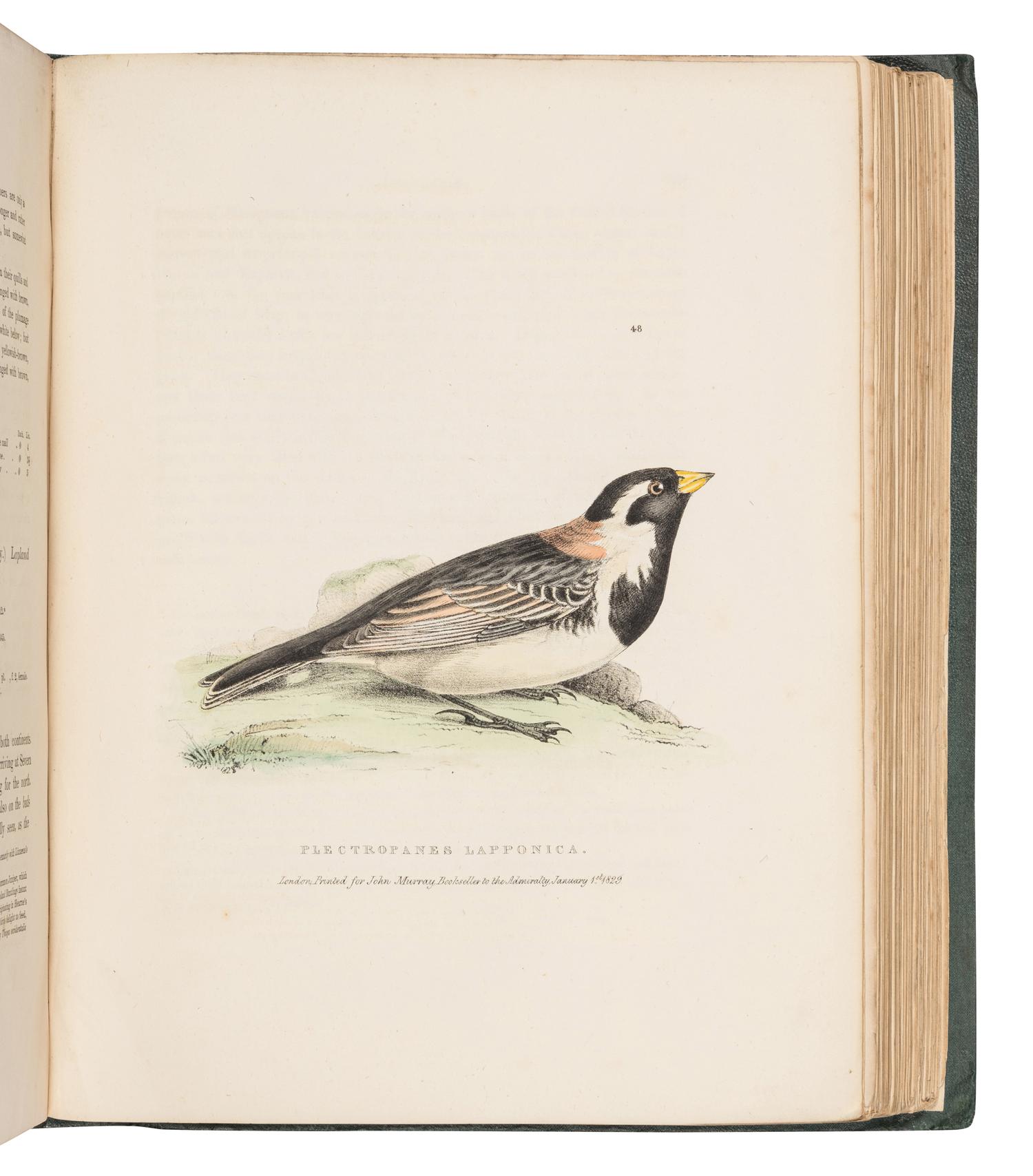 RICHARDSON, John (1787-1865) & William SWAINSON (1789-1855). Fauna Boreali-Americana; or the Zoology of the Northern Parts of British America...Part First, containing the Quadrupeds. -- Fauna Boreali-Americana; or the Zoology of the Northern Parts of British America...Part Second, the Birds . London: John Murray, 1829, 1831.