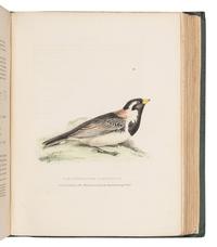 RICHARDSON, John (1787-1865) & William SWAINSON (1789-1855). Fauna Boreali-Americana; or the Zoology of the Northern Parts of British America...Part First, containing the Quadrupeds. -- Fauna Boreali-Americana; or the Zoology of the Northern Parts of British America...Part Second, the Birds . London: John Murray, 1829, 1831.