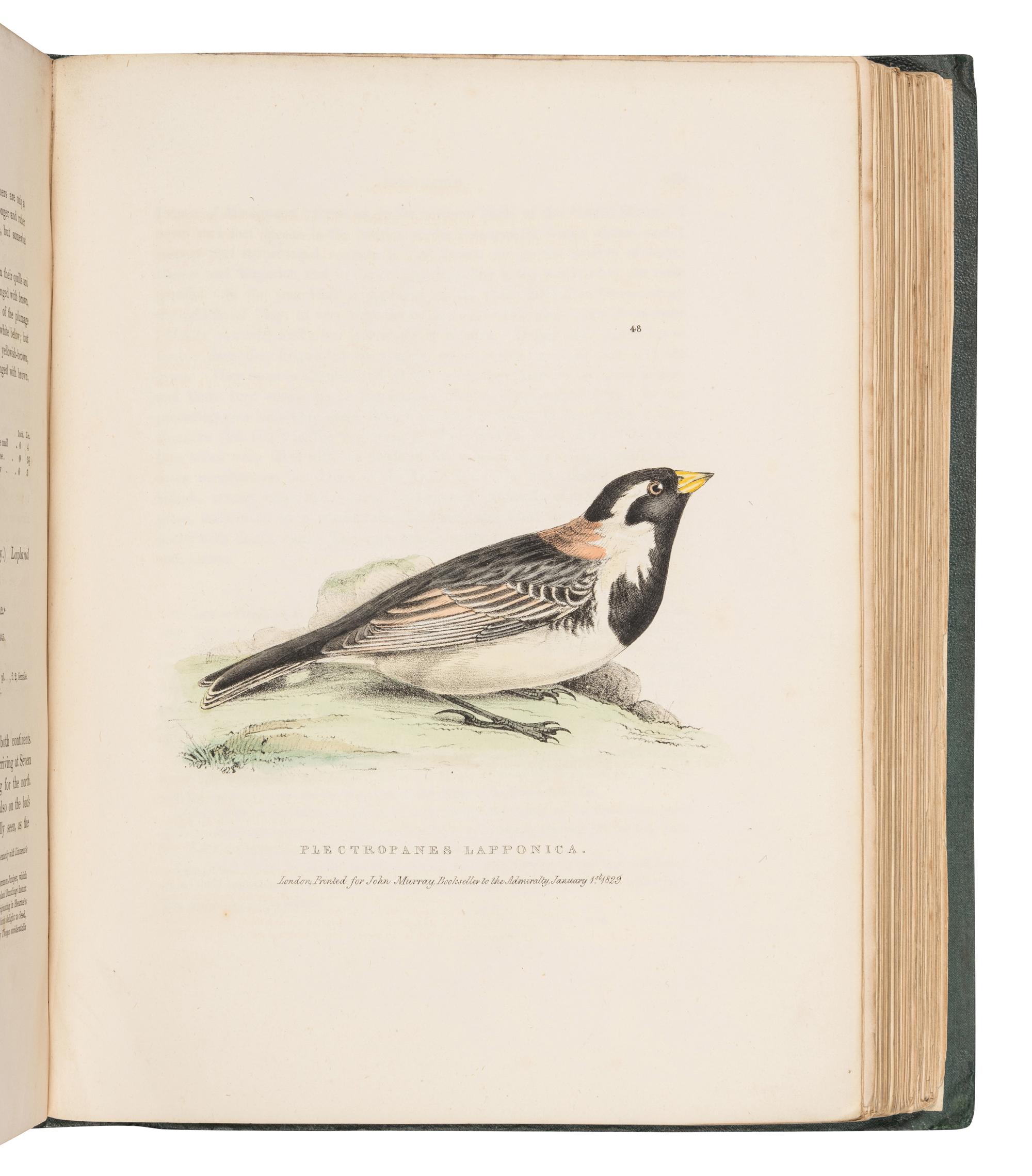 RICHARDSON, John (1787-1865) & William SWAINSON (1789-1855). Fauna Boreali-Americana; or the Zoology of the Northern Parts of British America...Part First, containing the Quadrupeds. -- Fauna Boreali-Americana; or the Zoology of the Northern Parts of British America...Part Second, the Birds . London: John Murray, 1829, 1831.