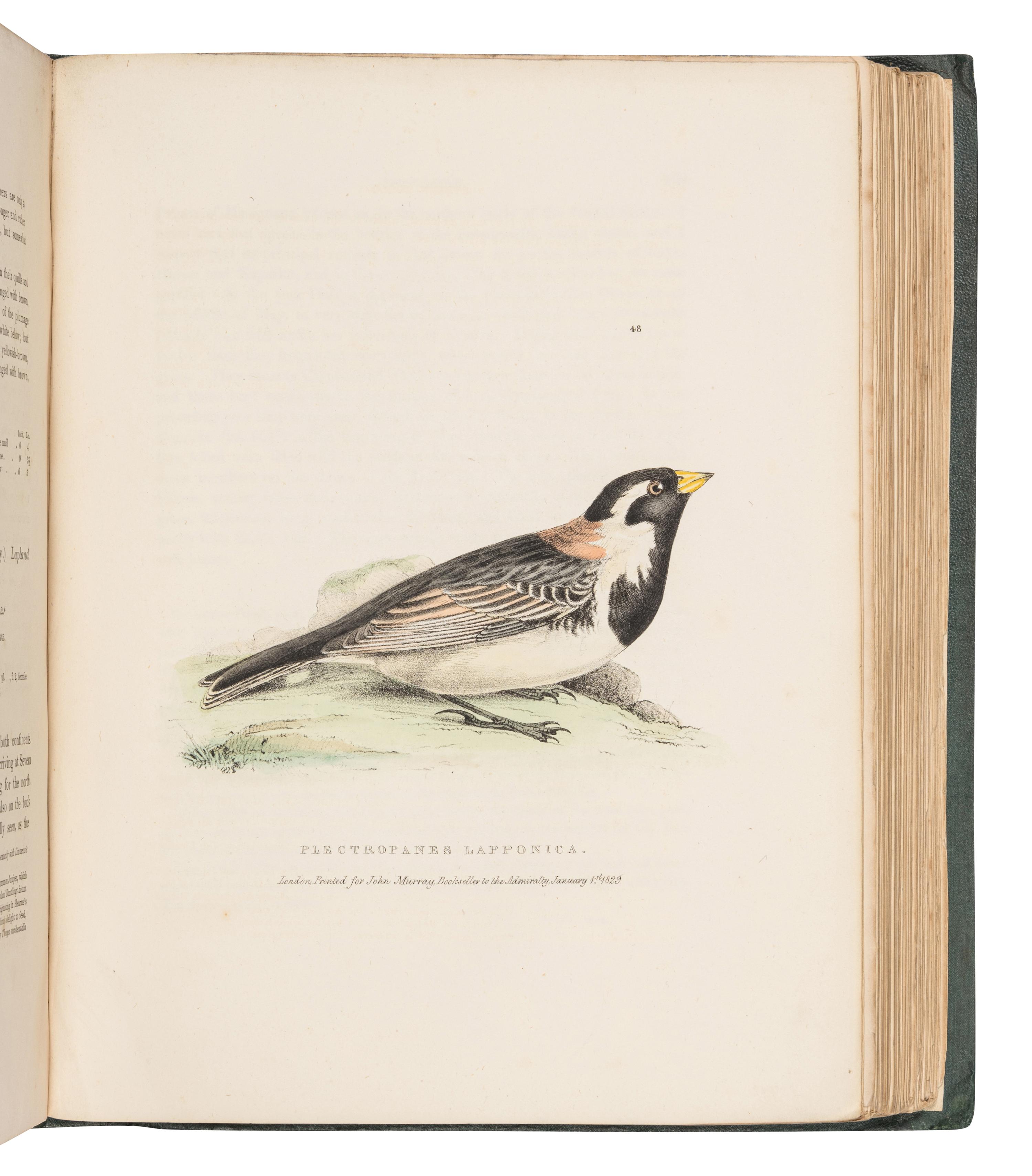 RICHARDSON, John (1787-1865) & William SWAINSON (1789-1855). Fauna Boreali-Americana; or the Zoology of the Northern Parts of British America...Part First, containing the Quadrupeds. -- Fauna Boreali-Americana; or the Zoology of the Northern Parts of British America...Part Second, the Birds . London: John Murray, 1829, 1831.