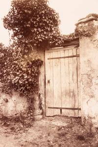 A group of four photographs (Hôtel de Beauvais, 68 rue François Miron , 1902; [Hôtel de Lauzun, quai d'Anjou] , 1905; Hôtel d'Argouges de Lyon, rue Séguier 16 , 1900; Plessis Piquet [Entrée pittoresque, Châtillon] , 1921)