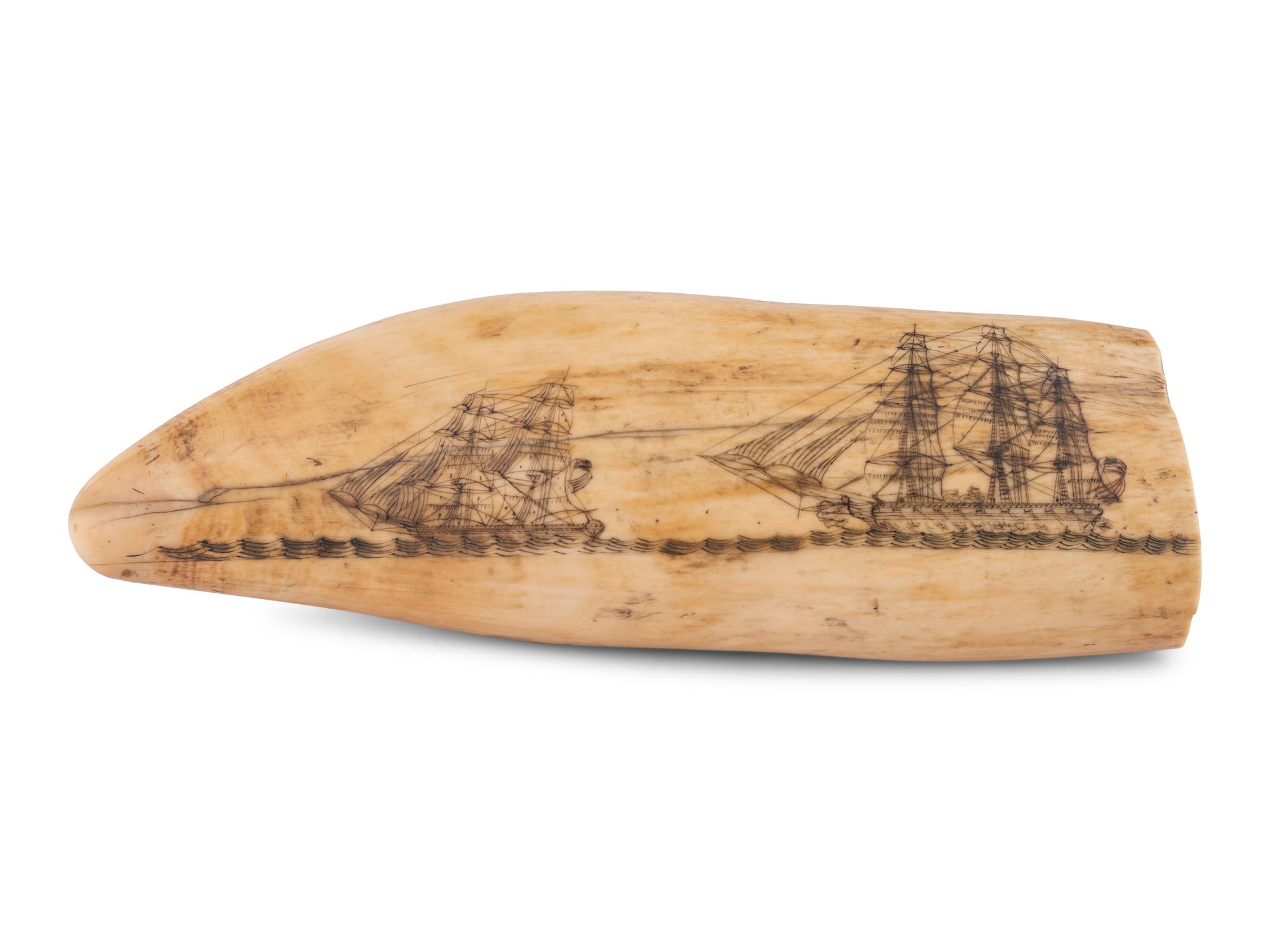 A Scrimshaw Tooth Depicting Two Ships Underway