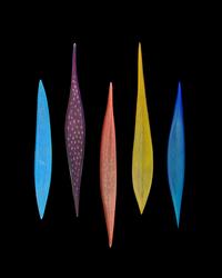 Twenty-Piece Masai Wall Sculpture